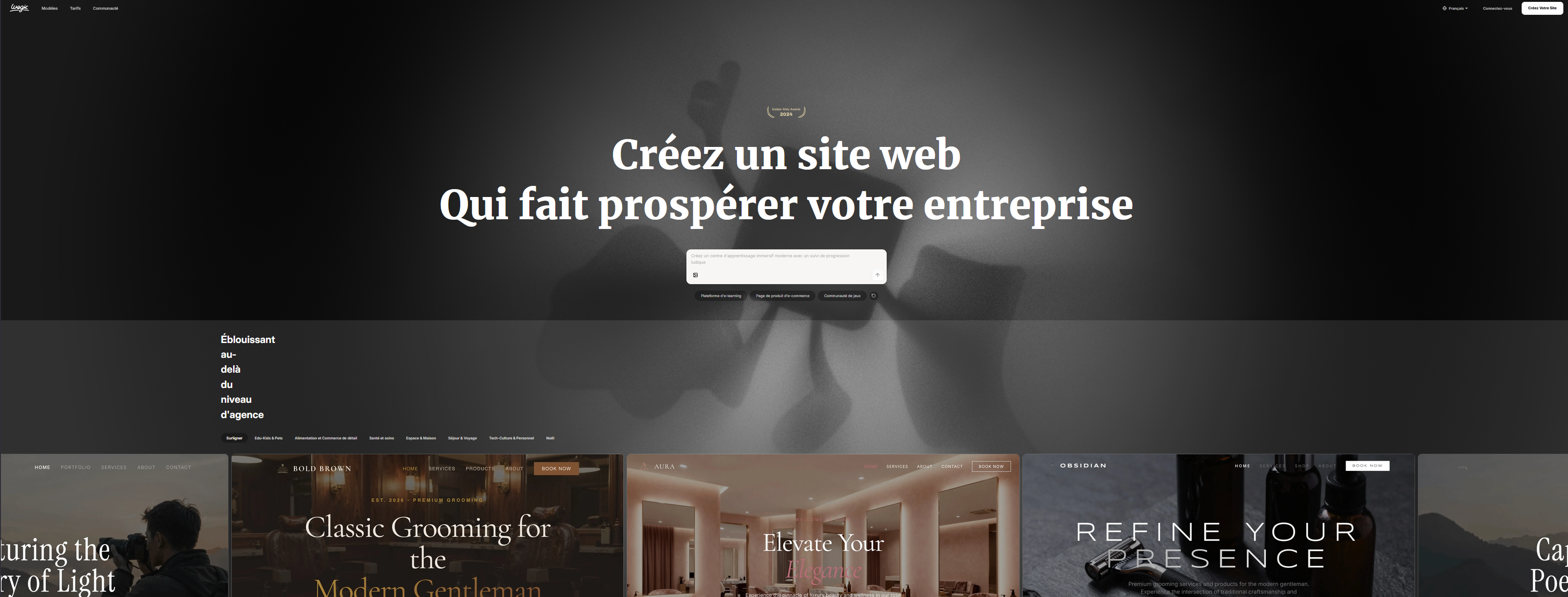 Aperçu de l'interface de Wegic.